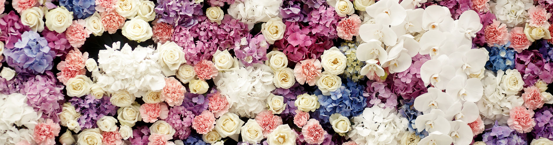 Birthday Flowers