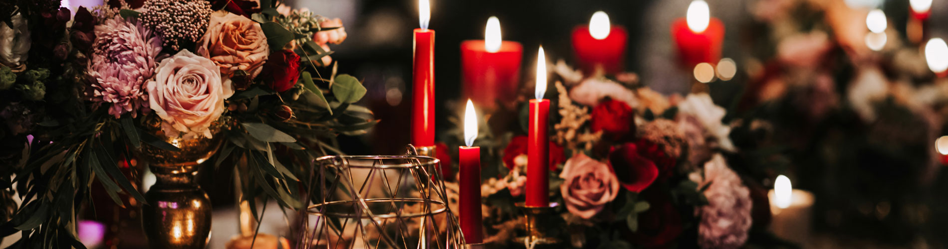 Christmas Flowers